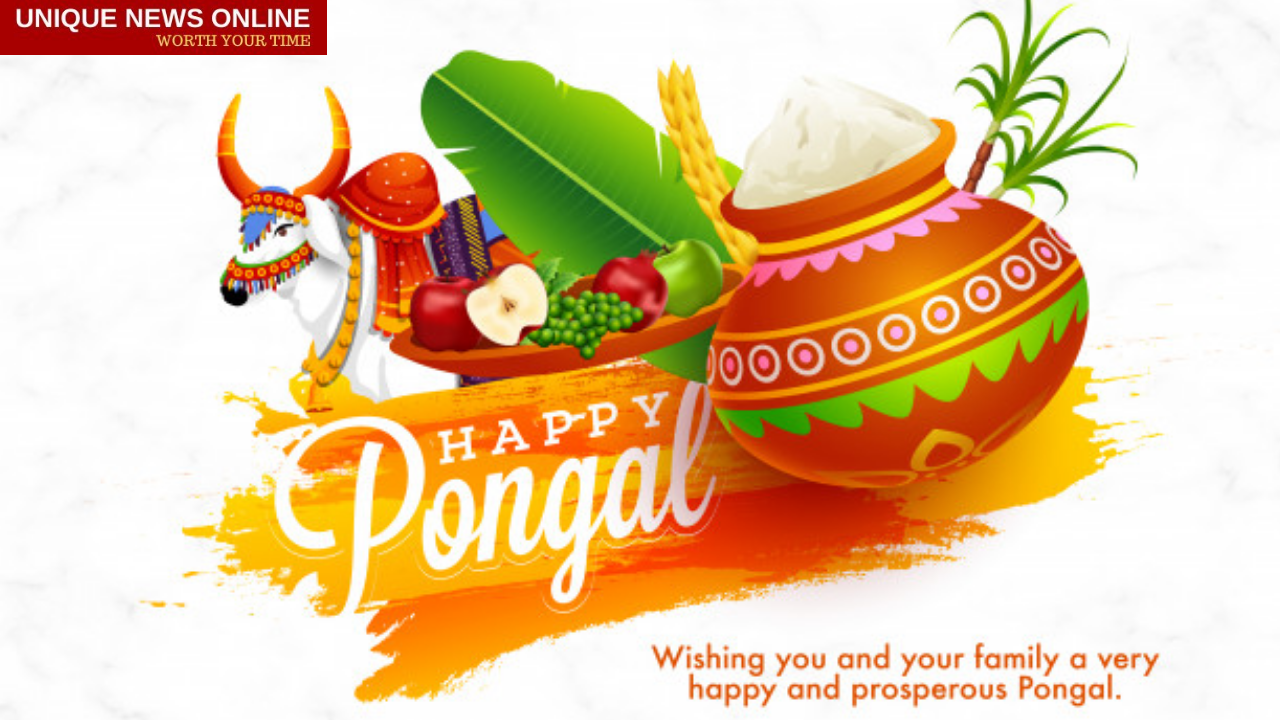Happy Pongal 2021: WhatsApp Status Video Download for free