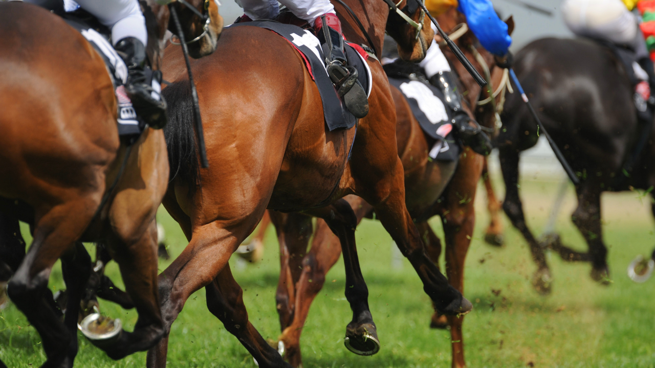Best Tips to Make Horse Racing Bets Online
