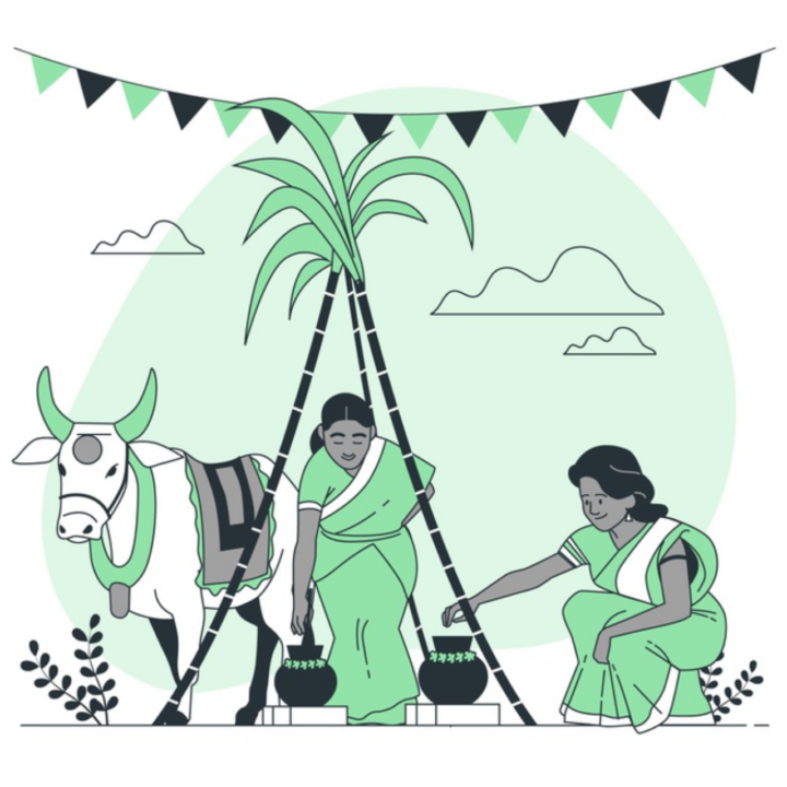 Pongal 2021: Why Pongal is Celebrated?, know the mythological story and history of this Festival