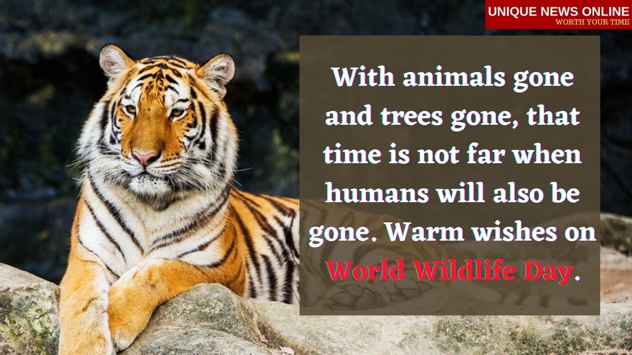 Happy World Wildlife Day 2021 Wishes, Messages, Greetings, Quotes, and images