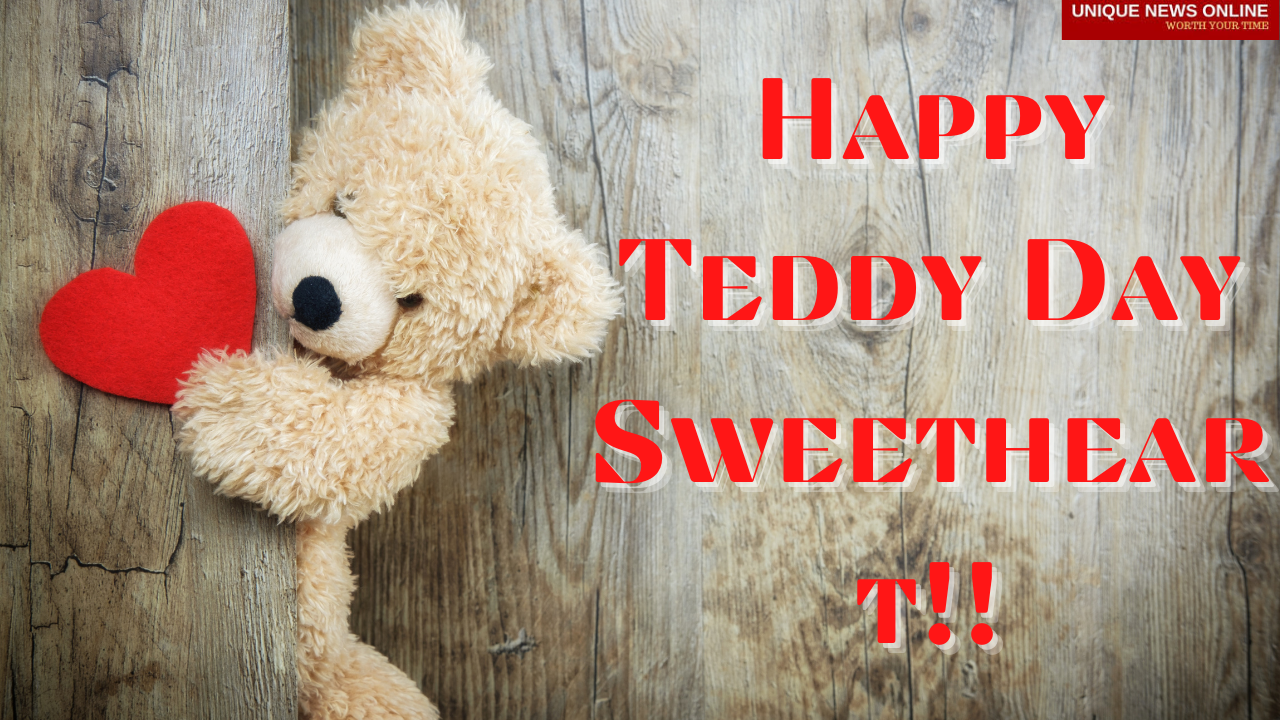 Happy Teddy Day 2021 WhatsApp Status Video Download for Free #HappyTeddyDay