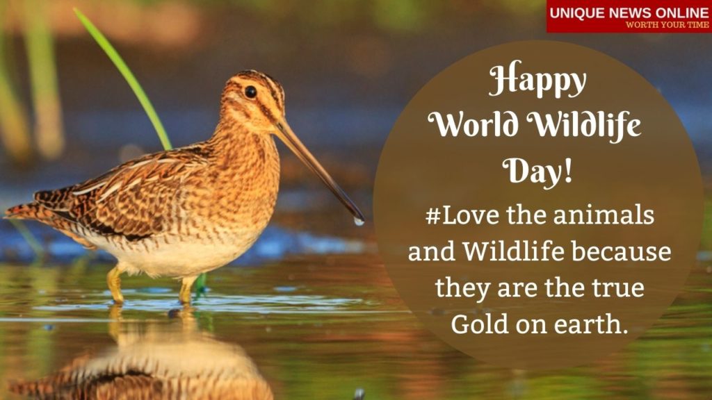Happy World Wildlife Day 2021 Wishes, Messages, Greetings, Quotes, and images
