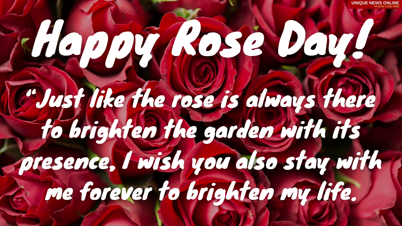 Happy Rose Day 2021 Wishes, Quotes, Messages, Greetings and Status to Share