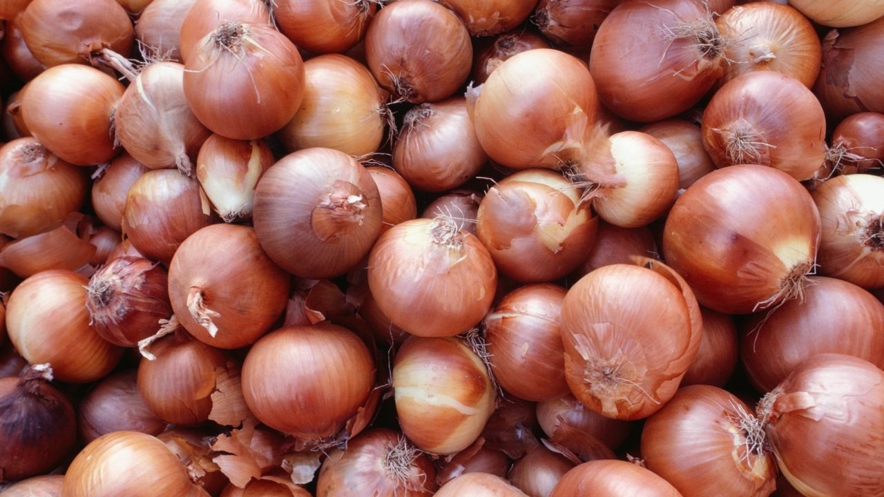 Onion ready to cry once more, prices have increased more than double