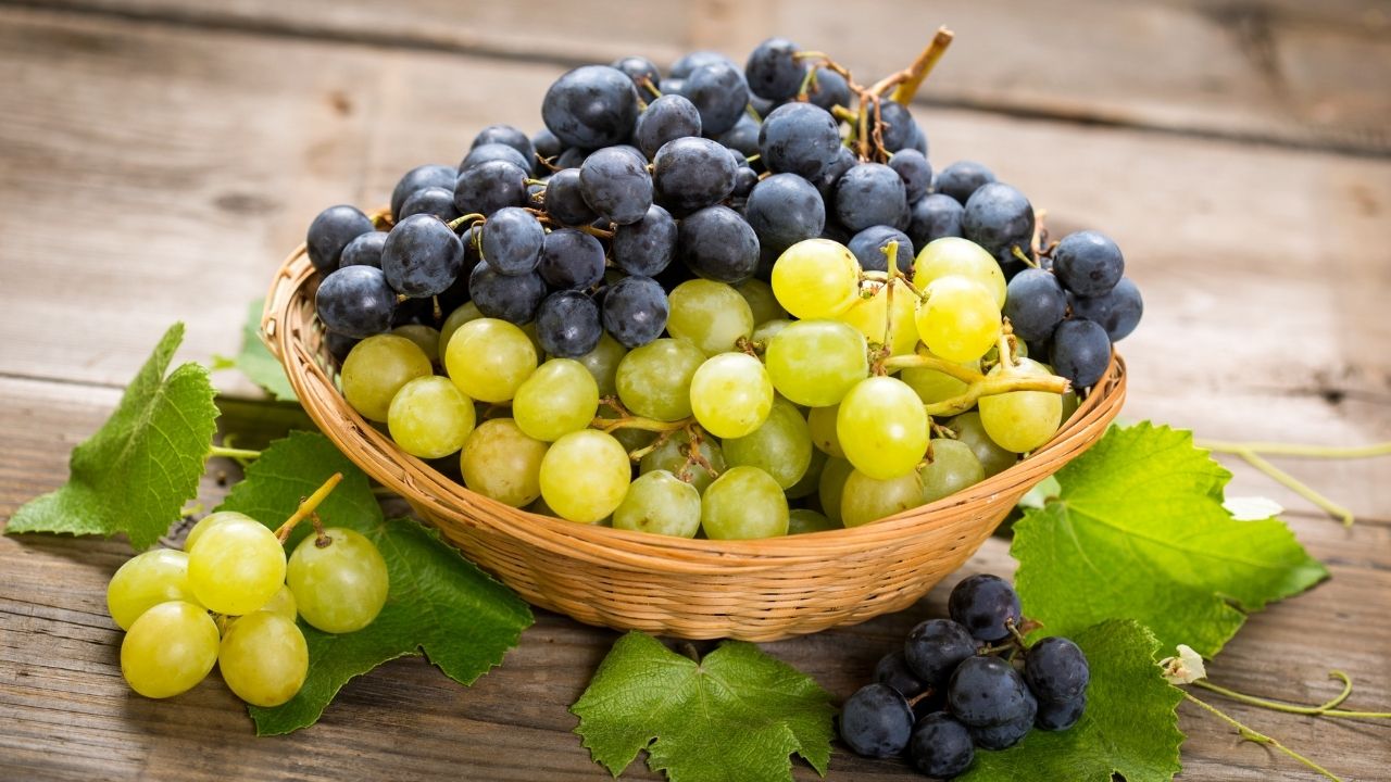 Grape is a treasure of nutrients, protects against 10 diseases from head to foot