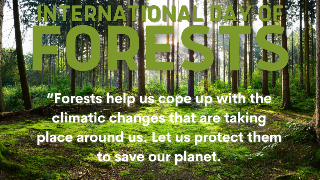 International Day of Forests HD images