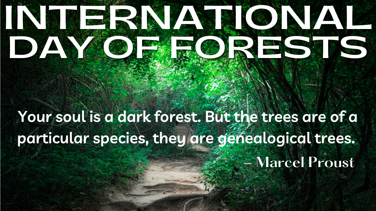 International Day of Forests 2021 Quotes, Messages, and HD Images