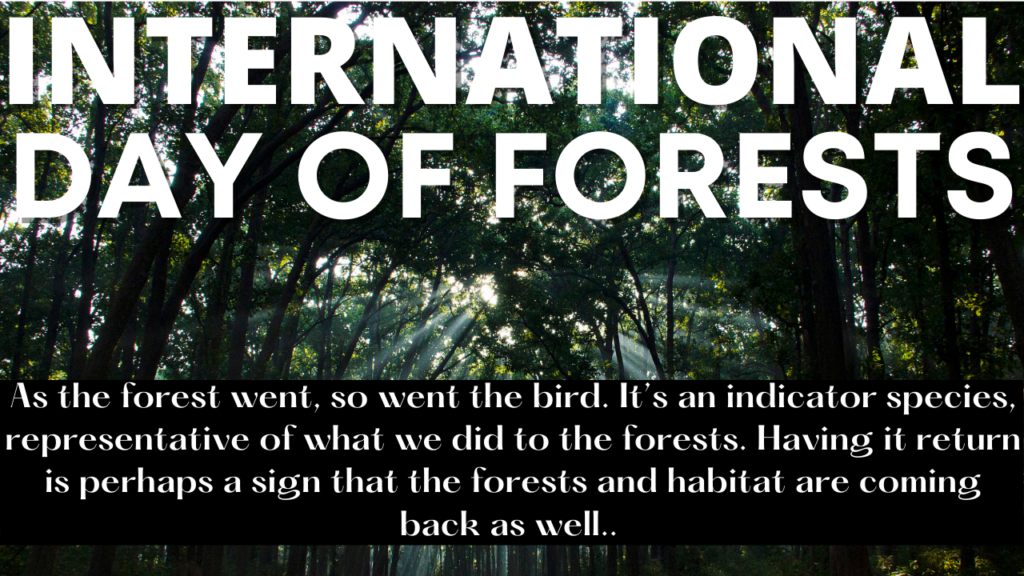 International Day of Forests Quotes