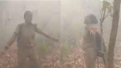 فيديو رقصة ضابطة الغابات: ضابطة غابة ترقص في فرح بينما تهطل الأمطار فوق سيميليبال بعد حريق غابة