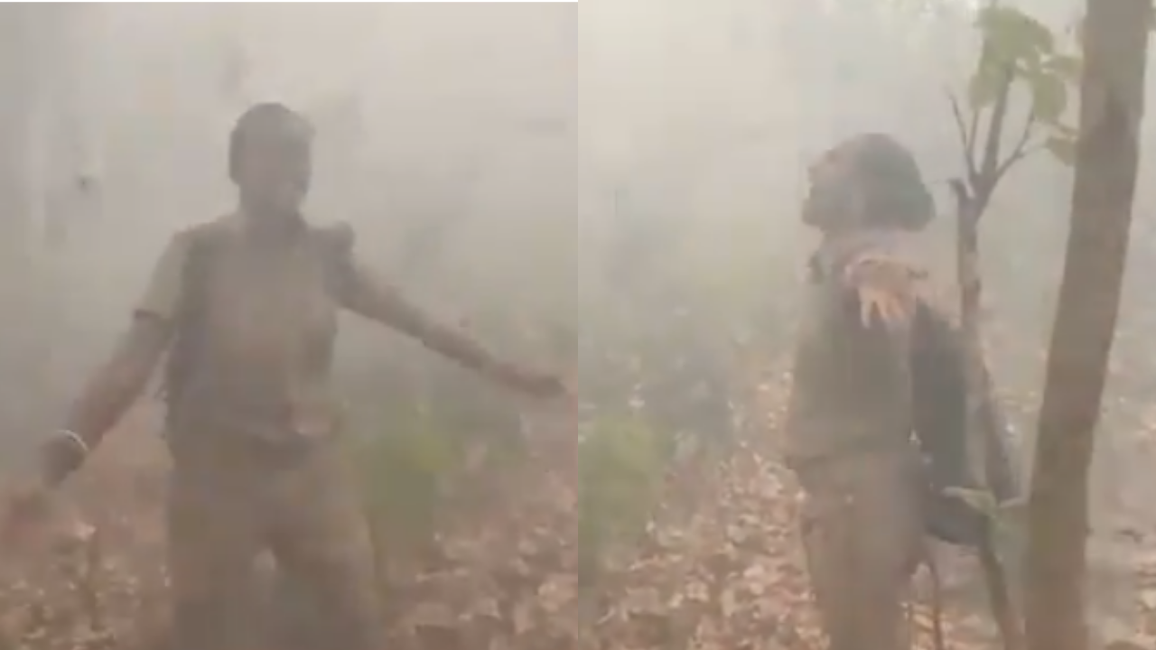Forest Officer Viral Dance Video: Woman forest officer dances in joy as rain showers over Similipal after forest fire