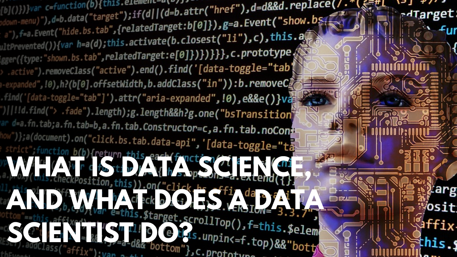 What Is Data Science, and What Does a Data Scientist Do?