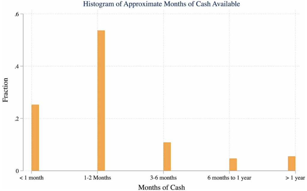 Histogram of approximate Months of Cash Available