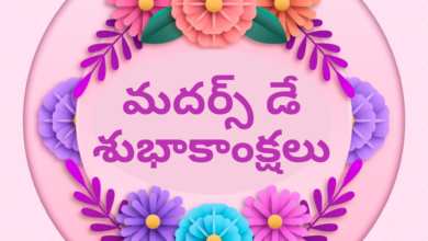 Mother's Day Quotes in Telugu
