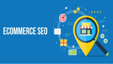 Here’s How Hiring Experts In eCommerce SEO Services Boosts Your ROI