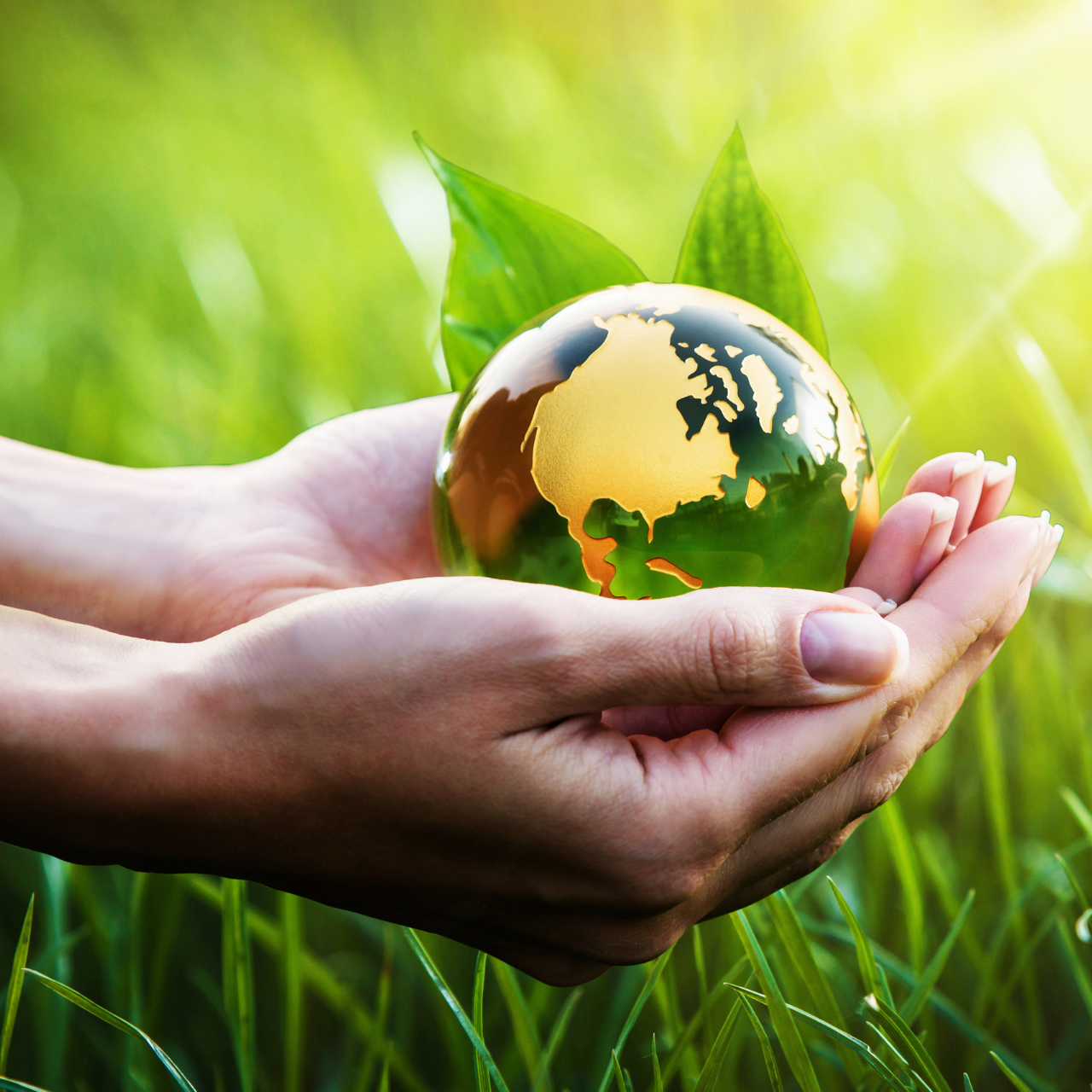 World Environment Day 2021: Know Date, Theme, and Objective behind celebrating this Day