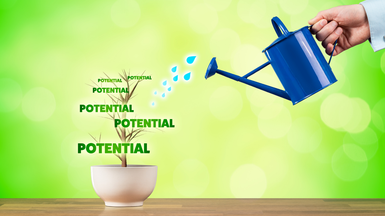 10 Essential Elements That Make Up Business Potential