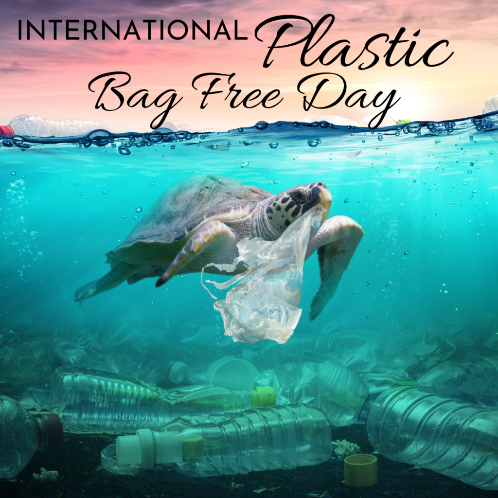 International Plastic bag free Day 2021 Quotes