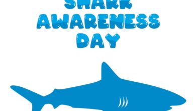 Shark Awareness Day 2021: Quotes, Images, Messages, and More to create awareness