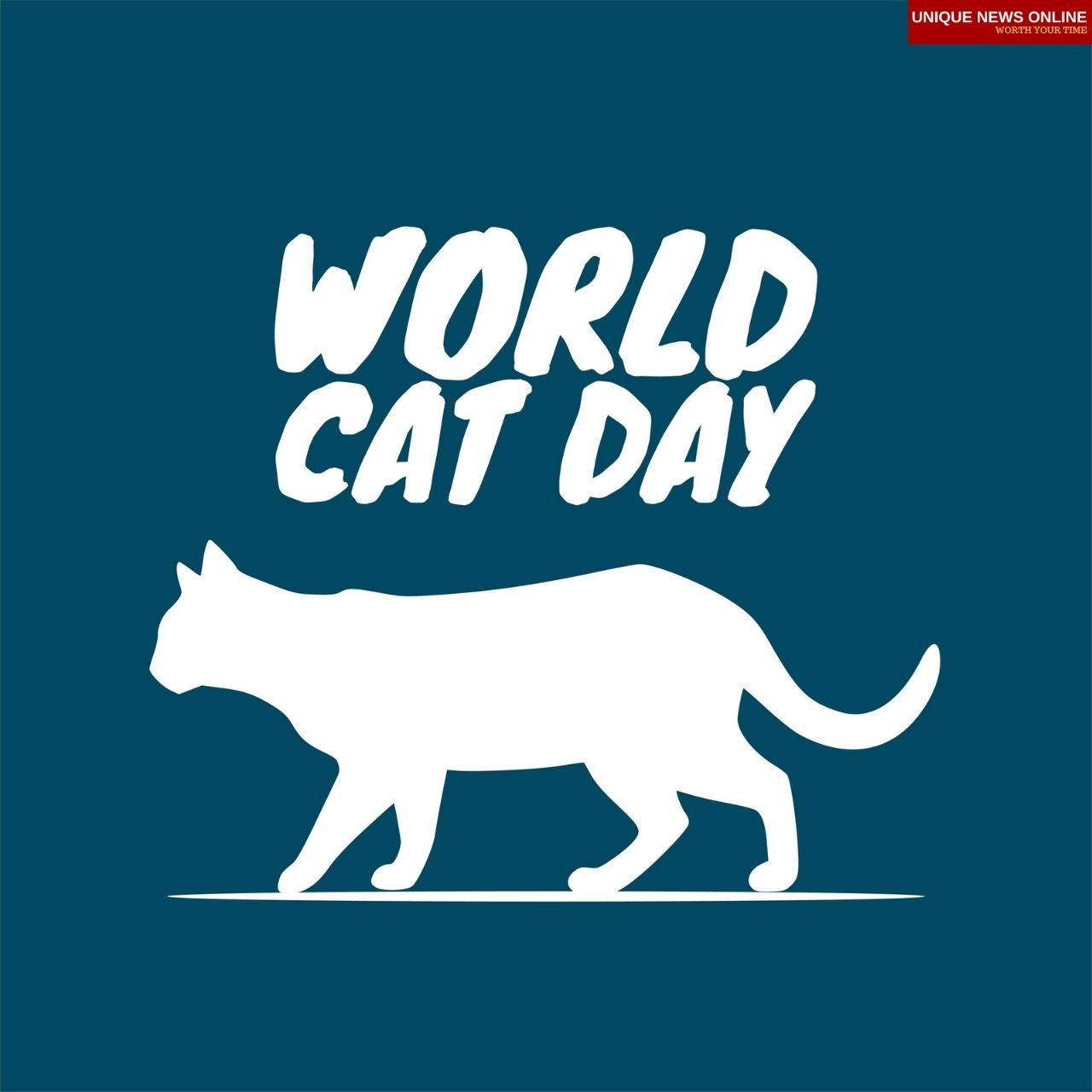 International Cat Day 2021 Quotes, Poster, Images, Memes, Messages, and Greetings to Share