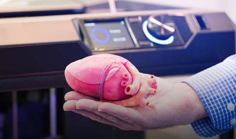 Bioprinting of organs (3d printing)