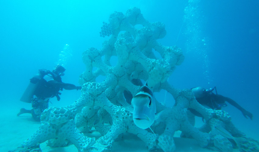 Saving coral reefs