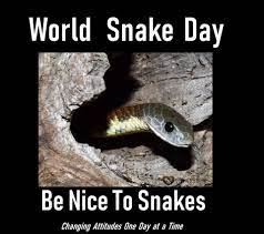 اليوم العالمي للأفعى .... - Snake Catcher Victoria Australia | موقع التواصل الاجتماعي الفيسبوك