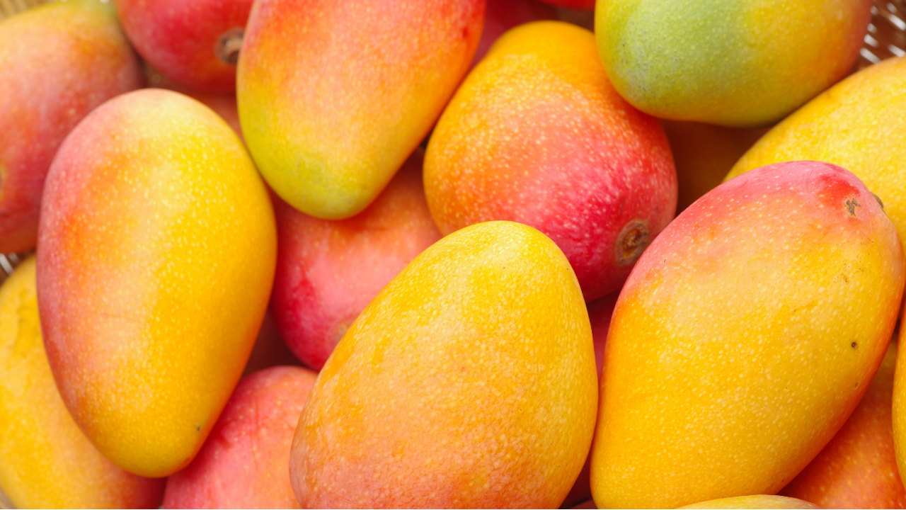 International Mango Festival Day (Delhi) 2021 Date, History, Significance, Location and More