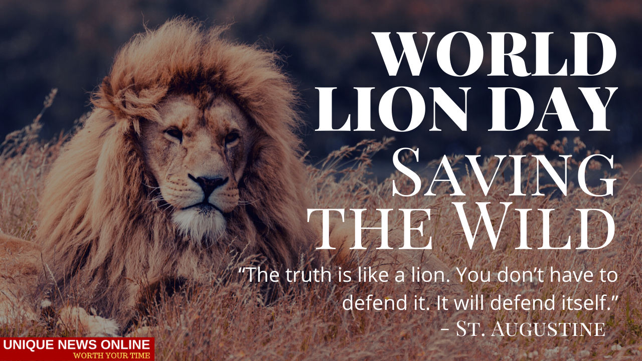 World Lion Day 2021 Theme, Quotes, Status, Images, Slogans, Poster, Wishes and Drawing to create awareness
