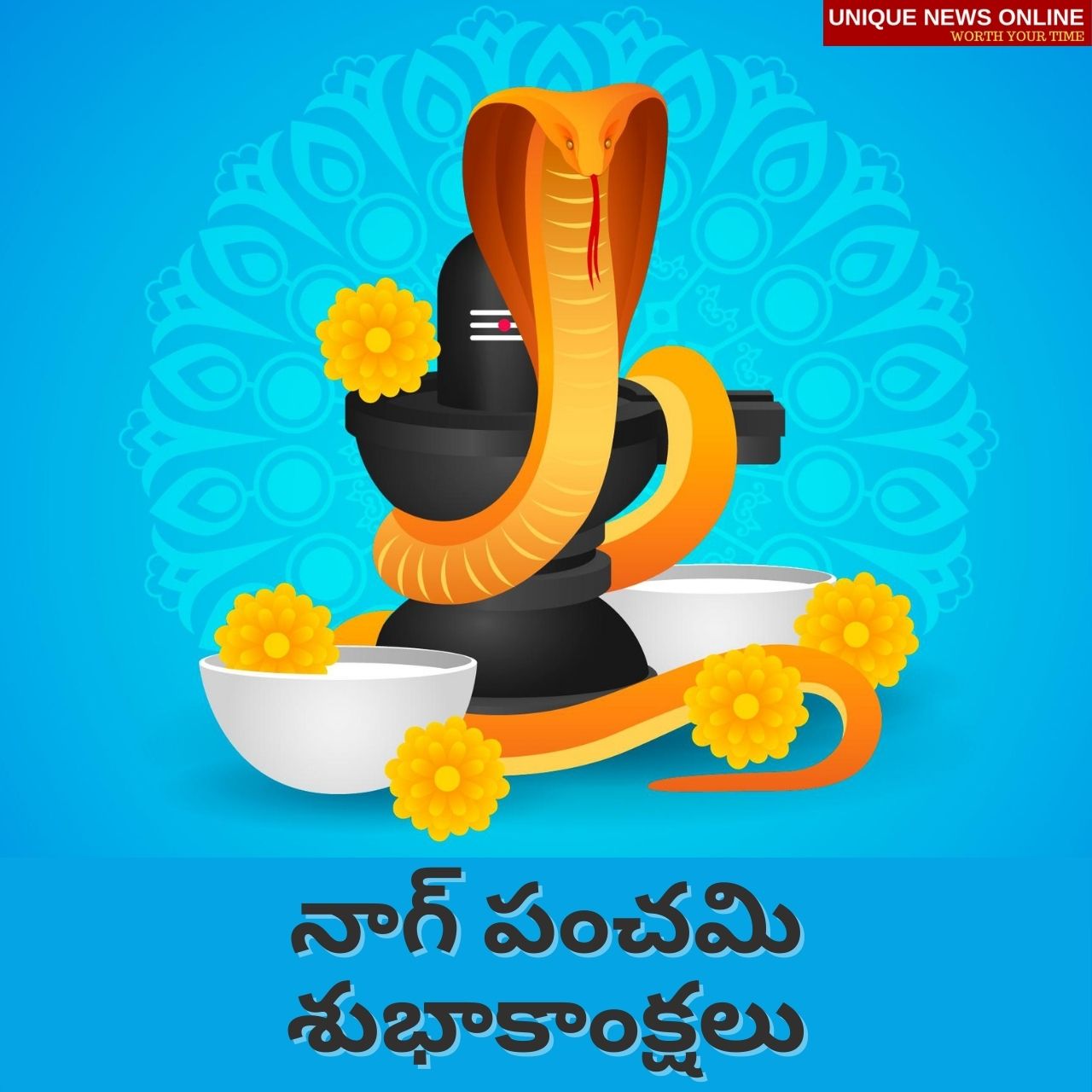 Happy Nag Panchami 2021 Telugu and Kannada Wishes: Messages, Greetings, Wallpaper,  HD Images, Quotes, Poster, and