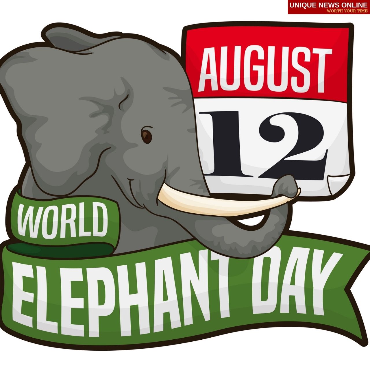 World Elephant Day 2021 Theme, Quotes, Messages, Wishes, Slogans, GIf, and HD Images to create Awareness