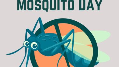 World Mosquito Day 2021 Poster, Quotes, Slogans, Images, and Messages to raise awareness about the causes of malaria and how it can be prevented