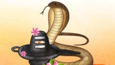 Happy Nag Panchami 2021 WhatsApp Status Video to Download to greet your Loved Ones