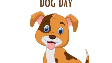 Happy International Dog Day 2021 Quotes, Images, Instagram Captions, Wishes, Messages, and Best Meme