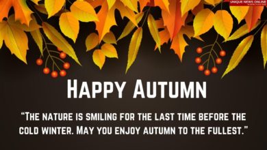 Autumn Season 2021 Quotes, Stickers, Images, Messages, Greetings, Wishes, and GIf to share"