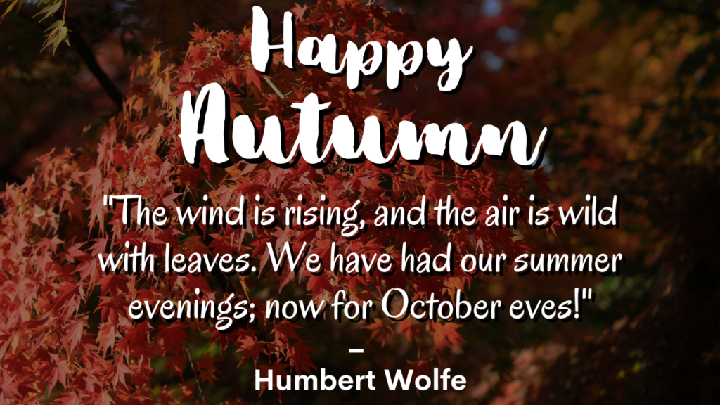 Happy Fall Season Instagram Messages