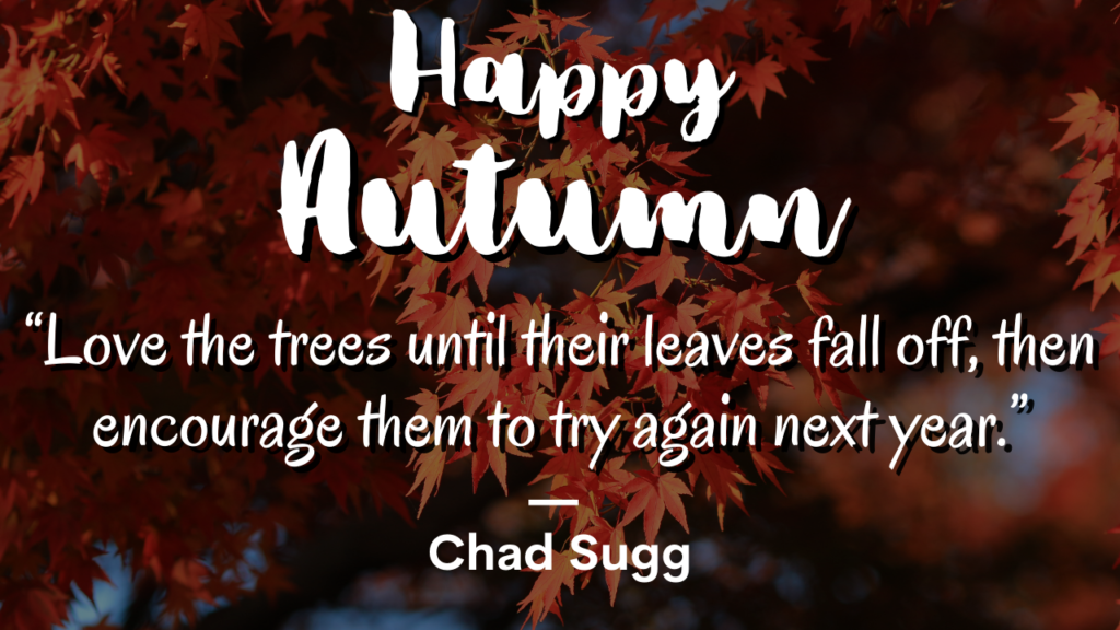 Happy Autumn Motivational Instagram Captions