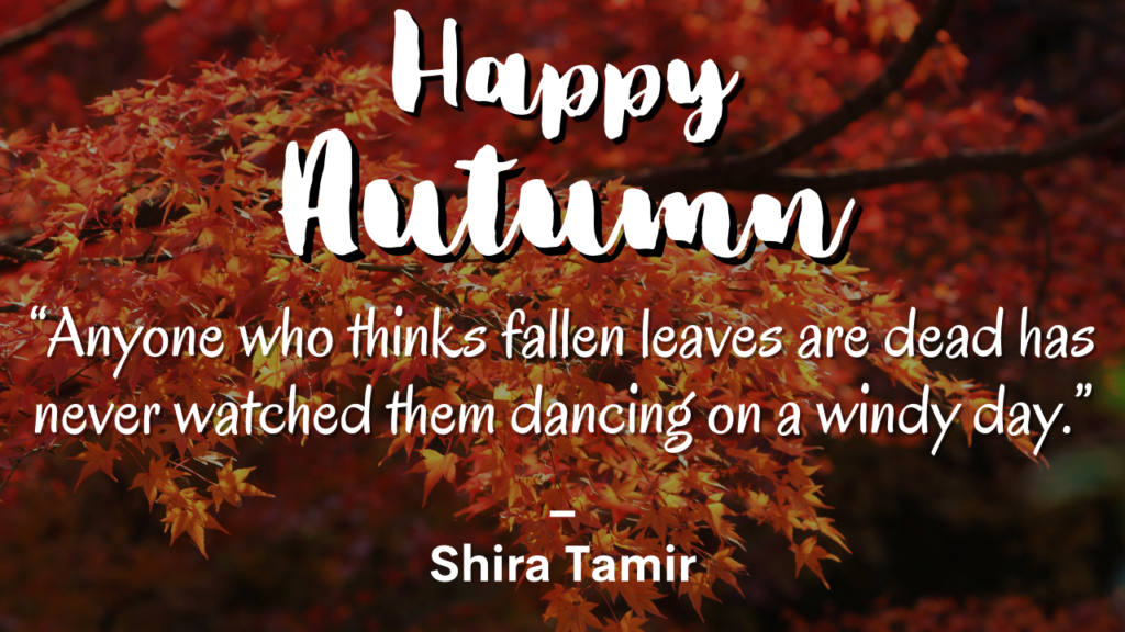 Happy Autumn Sayings