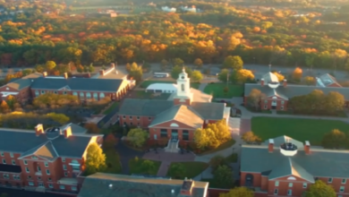 Bentley University Ranking, Notable Alumni, Acceptance Rate, Admission Process, Fees, Majors, Courses and everything you need to know