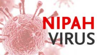 Nipah Virus Kerala: Under Threat