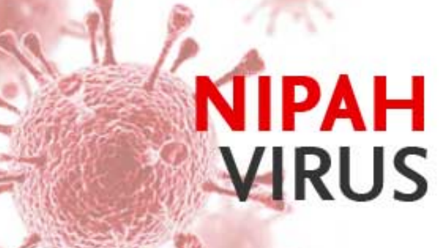 فيروس نيباه كيرالا: تحت التهديد