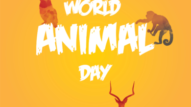World Animal Day 2021: When is World Animal Day in India? Current Theme, History, Significance, Celebration, Activities and More