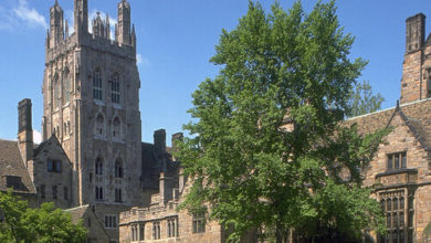 Yale University: Fees, Acceptance Rate, History, Notable Alumni, Majors, Courses, and Everything