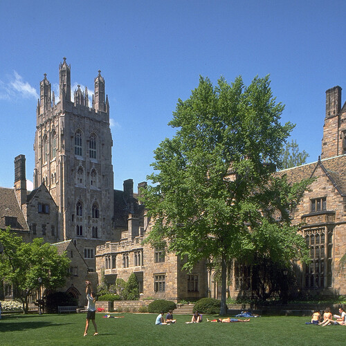 Yale University: Fees, Acceptance Rate, History, Notable Alumni, Majors, Courses, and Everything