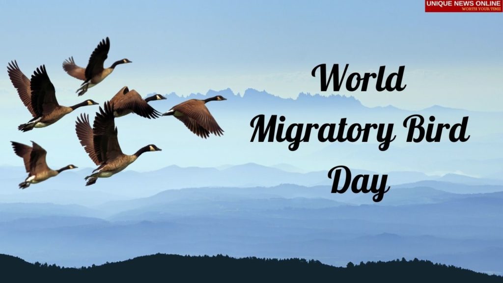 World Migratory Bird Day 2021 Poster, Quotes, Messages, and Images to share