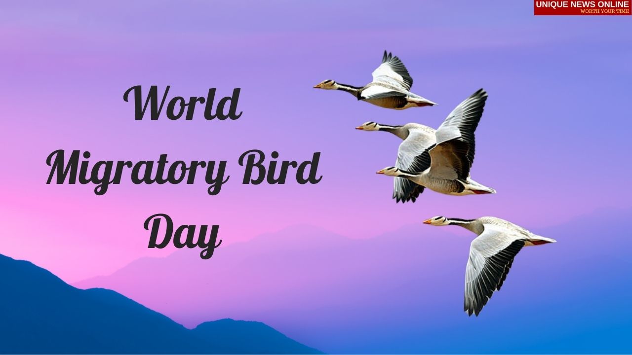 World Migratory Bird Day 2021 Poster, Quotes, Messages, and Images to share