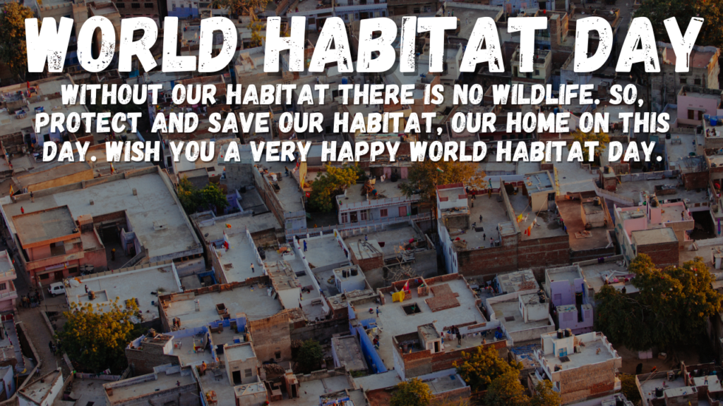 Happy World Habitat Day