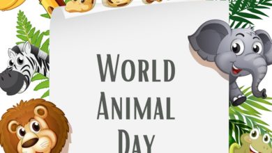 World Animal Day 2021 Quotes, Wishes, Poster, HD Images, and Messages to Create awareness