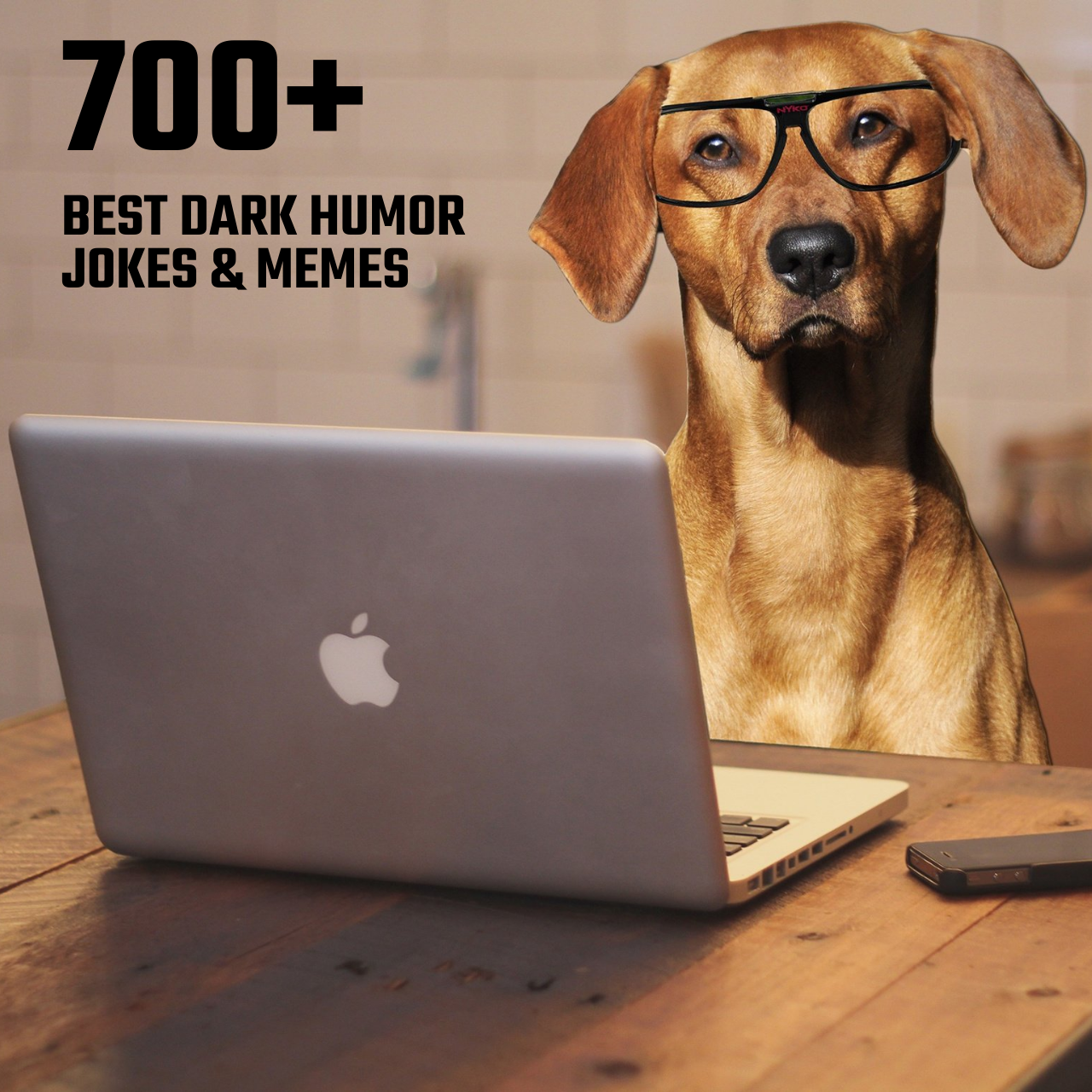700+ من أفضل النكات والمضحكات المظلمة المظلمة لتجعلك تضحك بفرح
