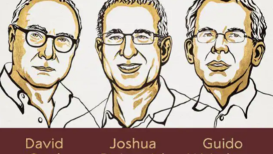 Economics Nobel Prize goes to David Card, Joshua Angrist, and Guido Imbens