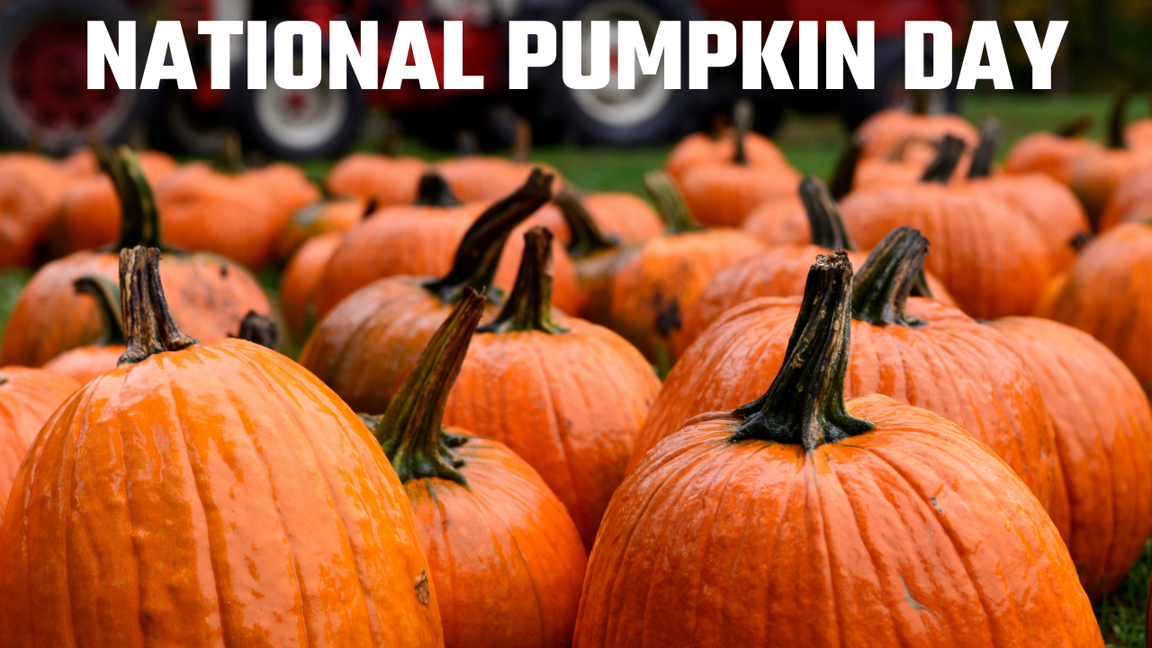National Pumpkin Day (US) 2021: When is Pumpkin Day in the USA? History, Significance, Activities, Ideas and More